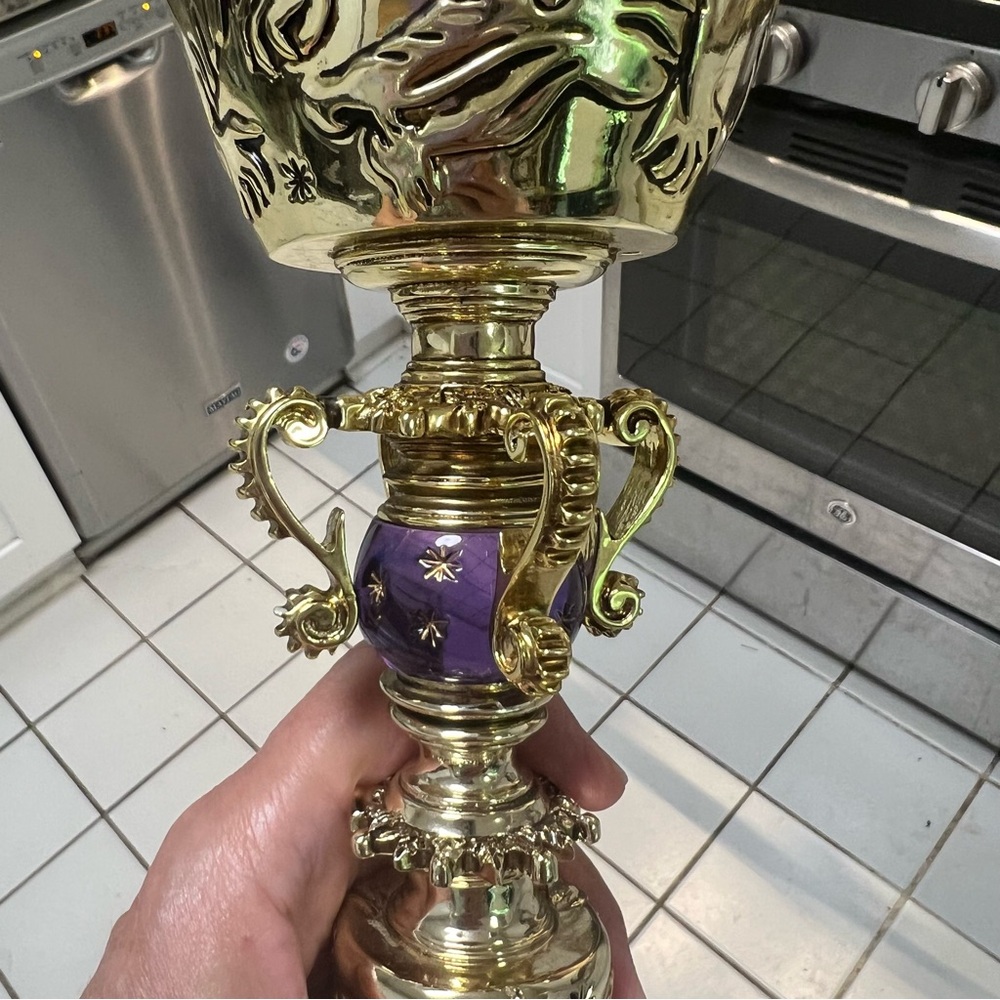 Dumbledore’s Cup Noble Collection Warner Brothers Harry Potter Chalice - Picture 9 of 14